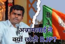 अन्नामलाई के BJP छोड़ने के बाद इस्तीफों की लगी झड़ी