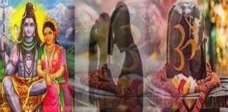 सावन में भगवान शिव के साथ करें इन देवी-देवताओं की पूजा, मिलेंगे शुभ फल