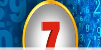 7 अगस्त अंक राशिफल: किस मूलांक को मिलेगा लाभ और किसे बरतनी होगी सावधानी?