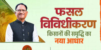 औषधीय पौधों की खेती से बढ़ेगी किसानों की कमाई, छत्तीसगढ़ सरकार देगी एडवांस प्रोत्साहन राशि