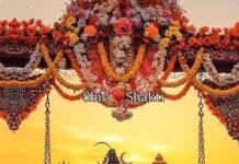हरियाली तीज पर शिव-पार्वती को चढ़ाएं ये फूल, बरसेगी कृपा और आएगी खुशहाली