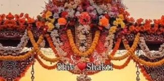 हरियाली तीज पर शिव-पार्वती को चढ़ाएं ये फूल, बरसेगी कृपा और आएगी खुशहाली