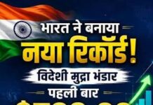 विदेशी मुद्रा भंडार ने तोड़ा पुराना रिकॉर्ड, 729 अरब डॉलर के पार पहुंचा भारत